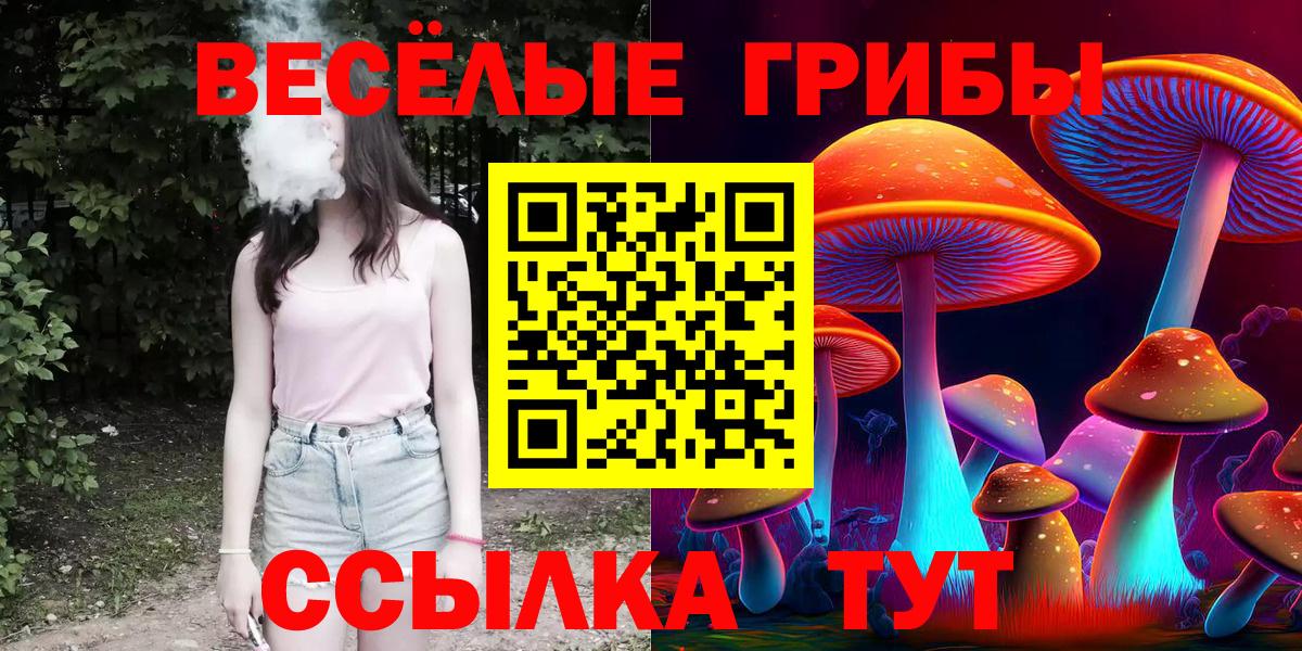 Клинцы  Псилоцибиновые грибы мухоморы  Вход с VPN  Псилоцибиновые грибы Cubensis 