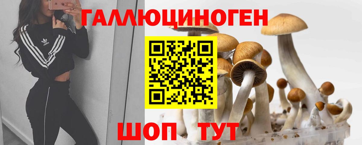 Псилоцибиновые грибы MAGIC MUSHROOMS Клинцы