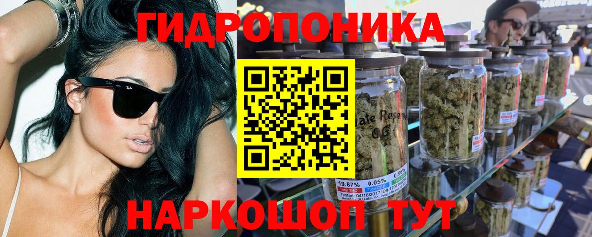 Бошки Шишки MAZAR Клинцы